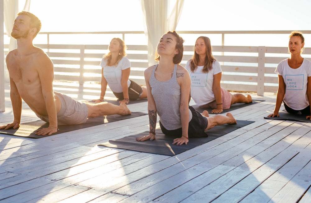 Wellness Daily Defense