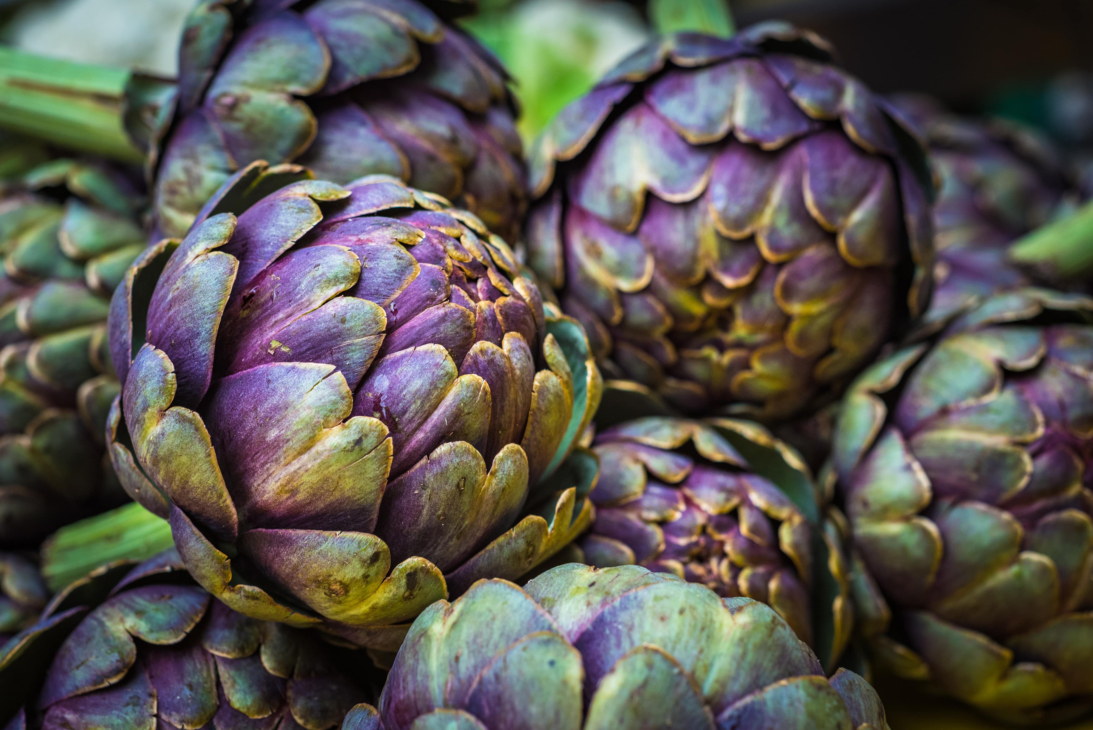 Artichoke Extract for Liver: Benefits Backed by Science - Daily Defense