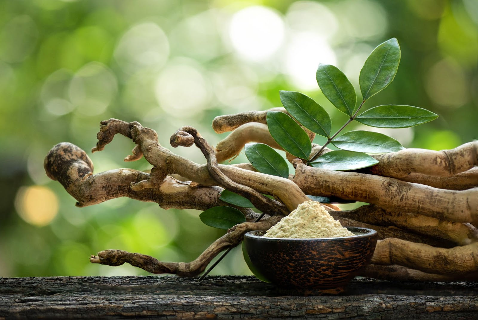 Horny Goat Weed vs Tongkat Ali: Which One Should You Take? - Daily Defense