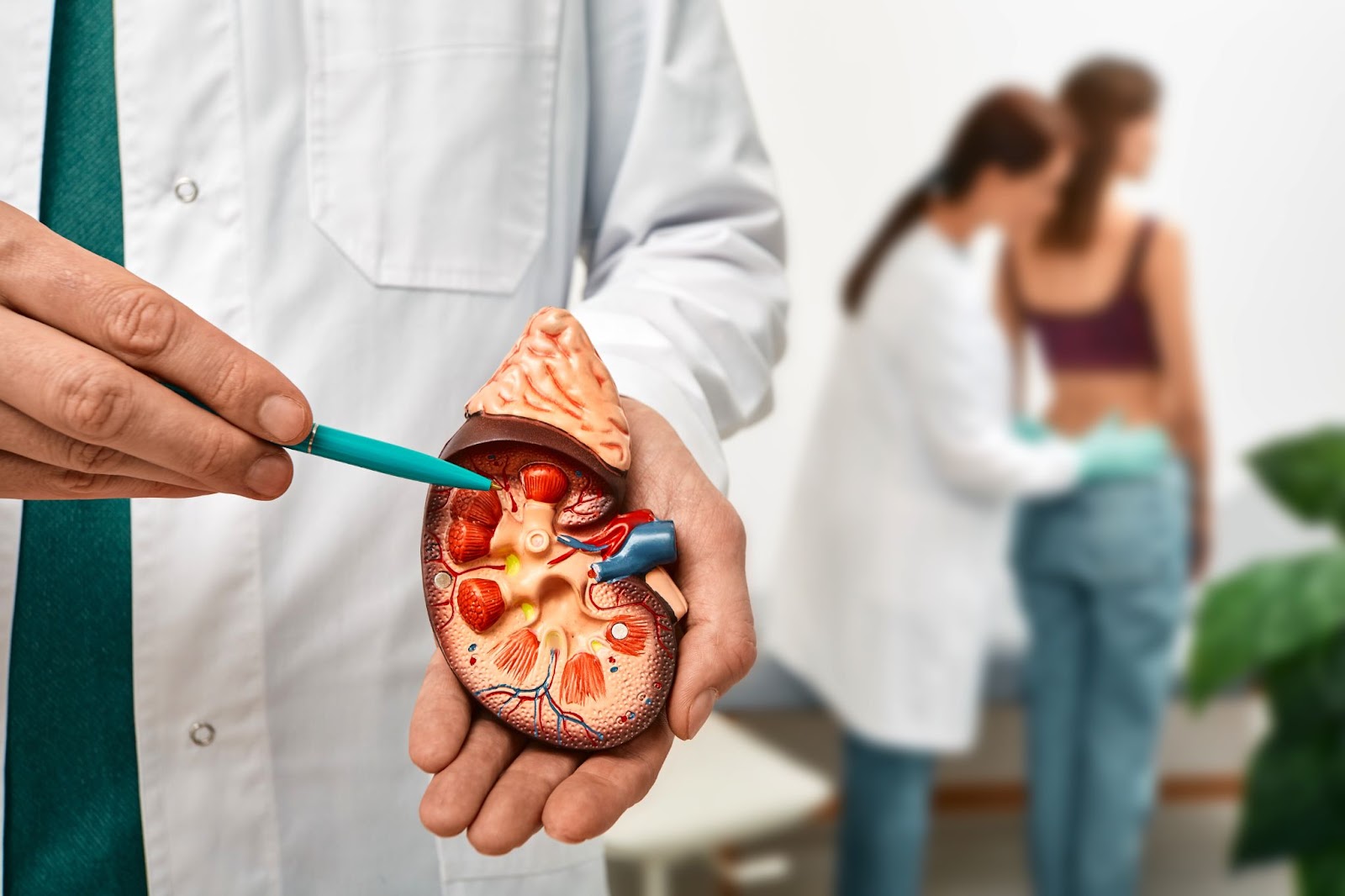 Kidney Care Supplement | Benefits & Natural Relief - Daily Defense