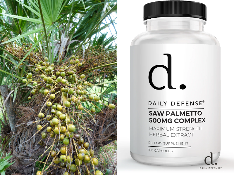 ProstaGenix vs Saw Palmetto: Detailed Comparison - Daily Defense