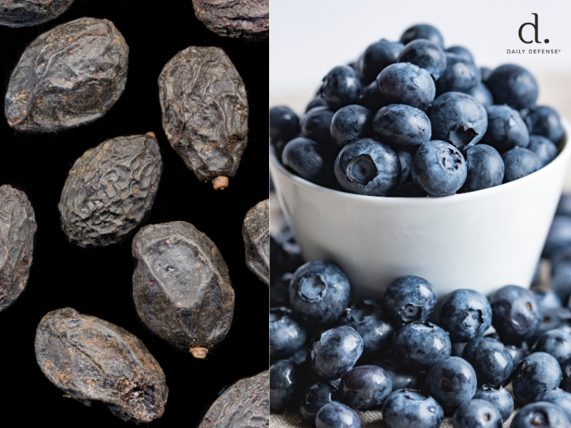 Saw Palmetto Extract vs Berries: Which Works Best - Daily Defense