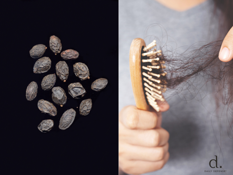 Saw Palmetto vs Finasteride for Hair Loss Comparison