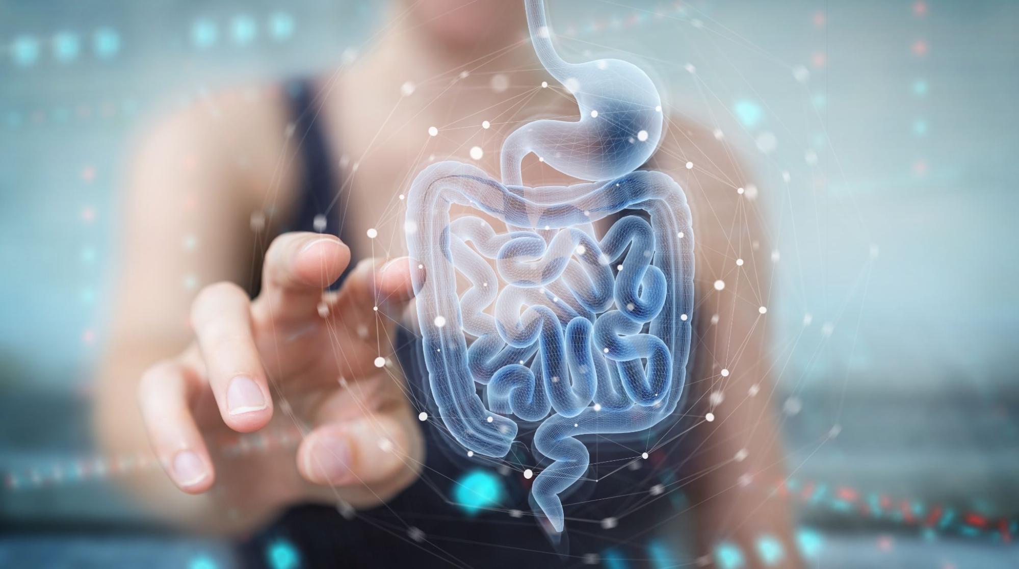 What To Look For In A Probiotic | Ingredients & CFUs - Daily Defense